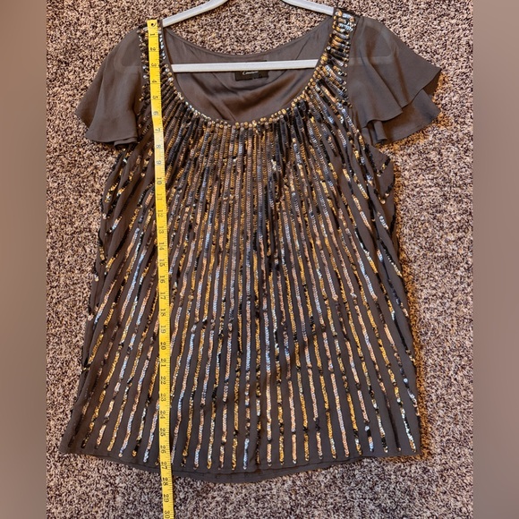 St John Dog Show Metallic Sequin Sheer Flutter Short Sleeve Blouse size small - Picture 11 of 16